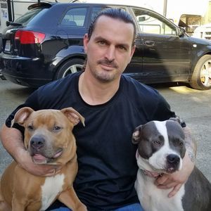 Meet your Posher, Wayne